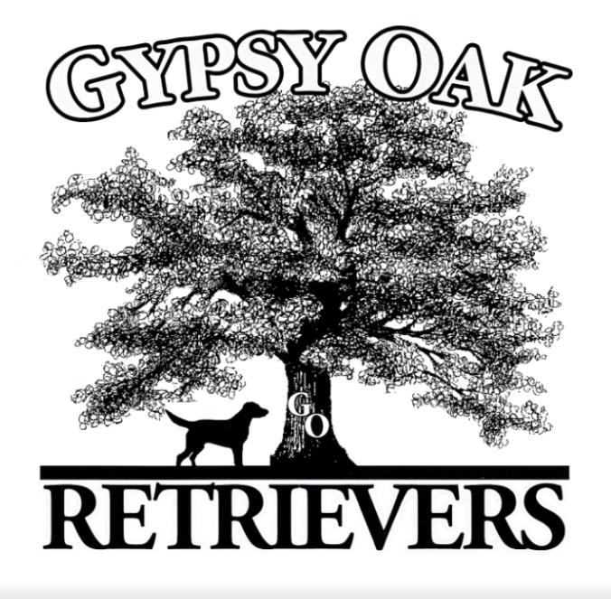 Gypsy Oak Outdoor Products & Services